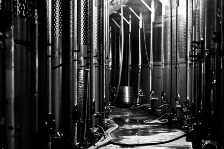 Aussicht Santorini Santo Wines Meer Ozean Barrels Weinrebe Trauben Weinkeller Weinberg Griechenland Wein Greek Gourmet Schweiz Zürich Delikatessen Altstetten